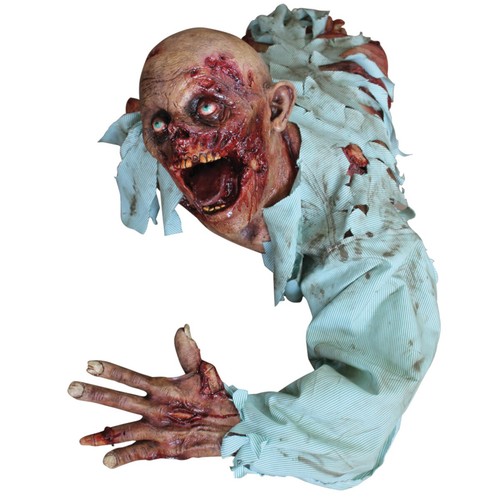 The crawler zombie decorative - the,